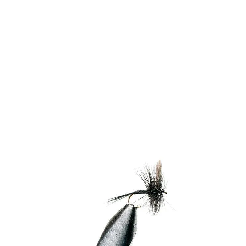 Marin & Fritid torrfluga Black Gnat fiskefluga