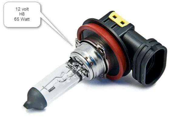 Marin & Fritid Glödlampa H8 PGJ19 12V 65W båtlampa