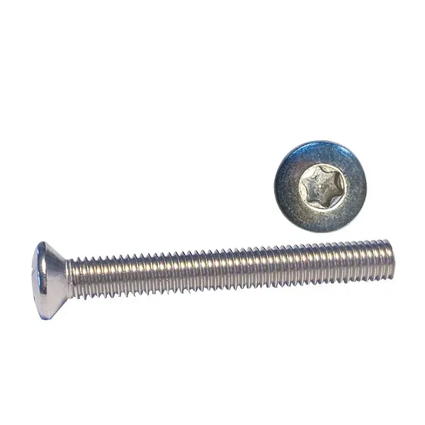 Marin & Fritid maskinskruv Torx 4x16 A4 100-pack rostfri