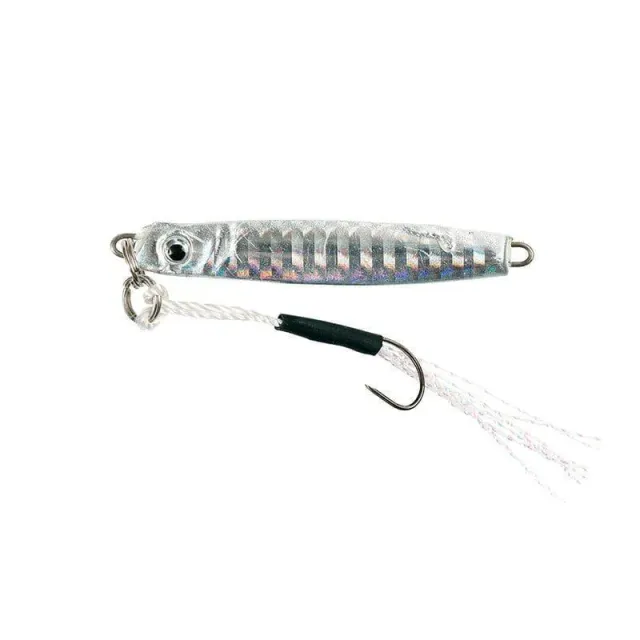 Rockbuddy Micro Shore Jig 58mm 10g silver kustdrag
