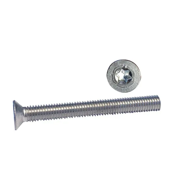 Marin & Fritid Maskinskruv TX30 6x90 A4 2-pack försänkt