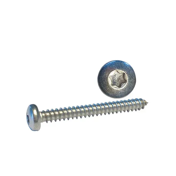 Marin & Fritid 3,5x19 A4 Torx skruv 100-pack syrafast