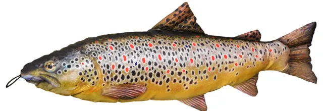 Marin & Fritid Mjukisdjur Öring 65 cm