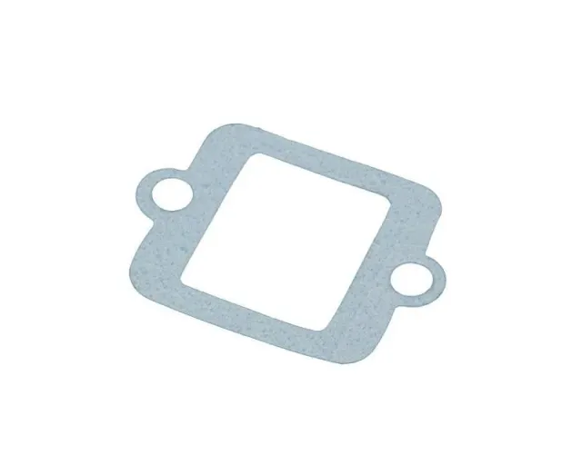 Marin & Fritid packning membranblock Piaggio Peugeot 2T