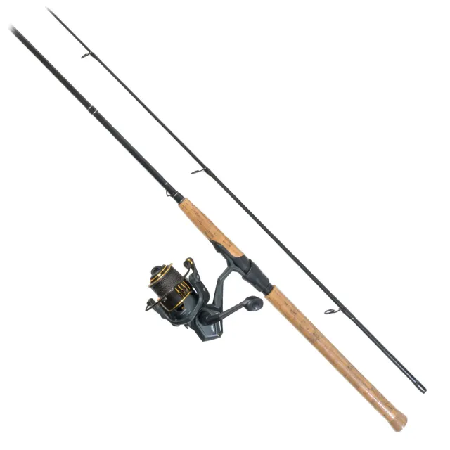 Vantage Aurum 2000 + Gracilis spinnset 210cm 10-30g