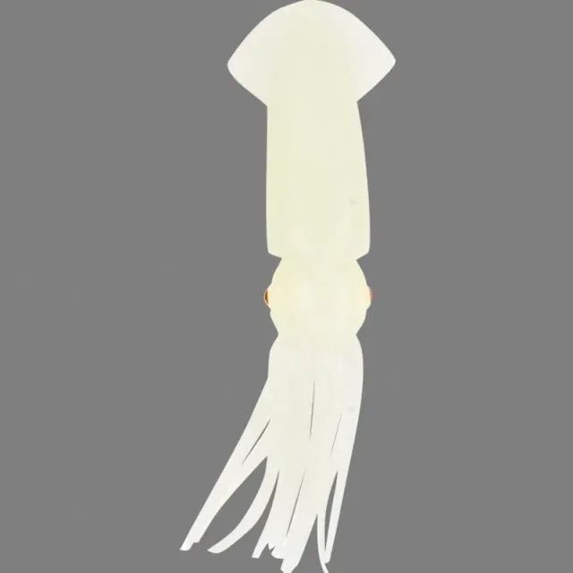 Marin & Fritid Bläckfisk självlysande 6" 15 cm bete