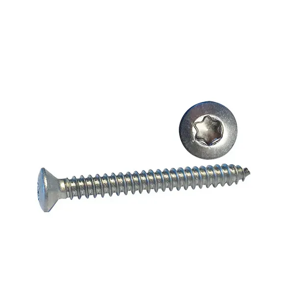 Marin & Fritid 3,5x13 skruv 100-pack rostfri A4 Torx