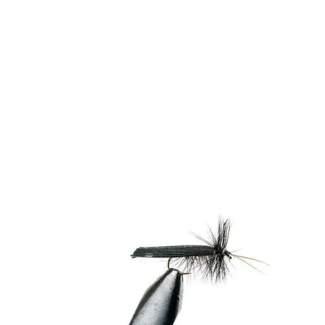 Marin & Fritid Black Roofwing takvinge svart