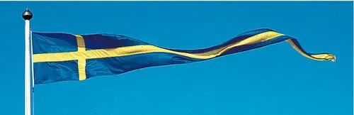 Korsvimpel Sverige 300x50 cm båtvimpel blågul