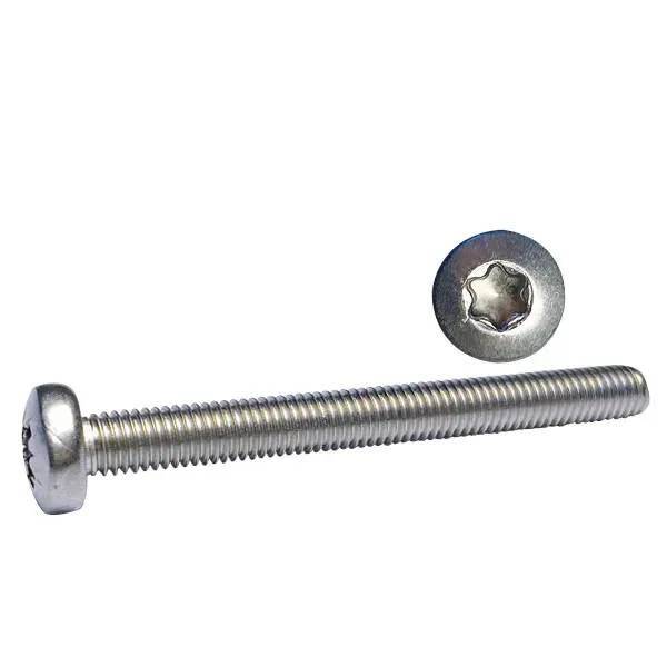 Marin & Fritid maskinskruv M4x40 A4 Torx 100-pack