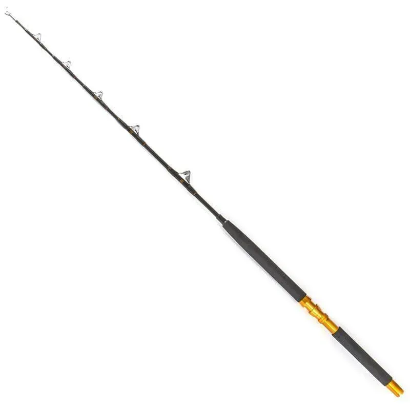 Marin & Fritid Euro Gold 165cm havsfiskespö 2-delat