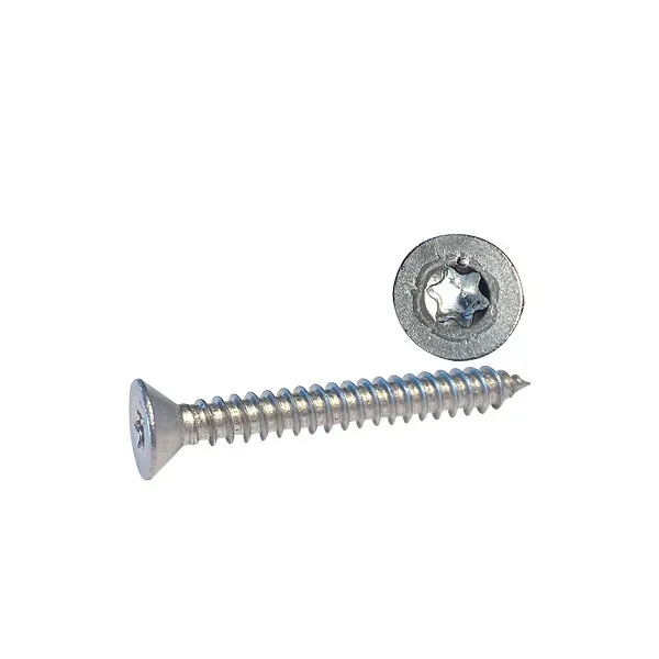 Marin & Fritid Skruv 2,9x19 A4 Torx 100-pack Syrafast