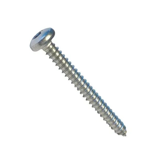 Marin & Fritid 4,2x25 cylinderskruv Torx A4 20-pack